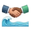Streamlined Offshore Domestic/Foreign Offshore Procedure